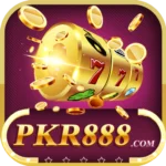 Pkr888 Game