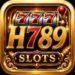 H789 Game